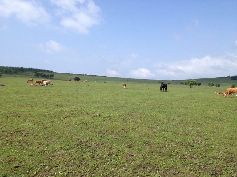 点击查看原图大小