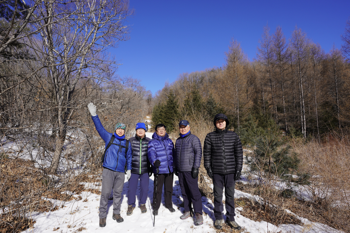 点击查看原图大小