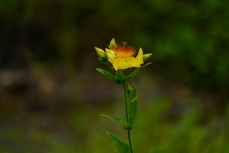 点击查看原图大小