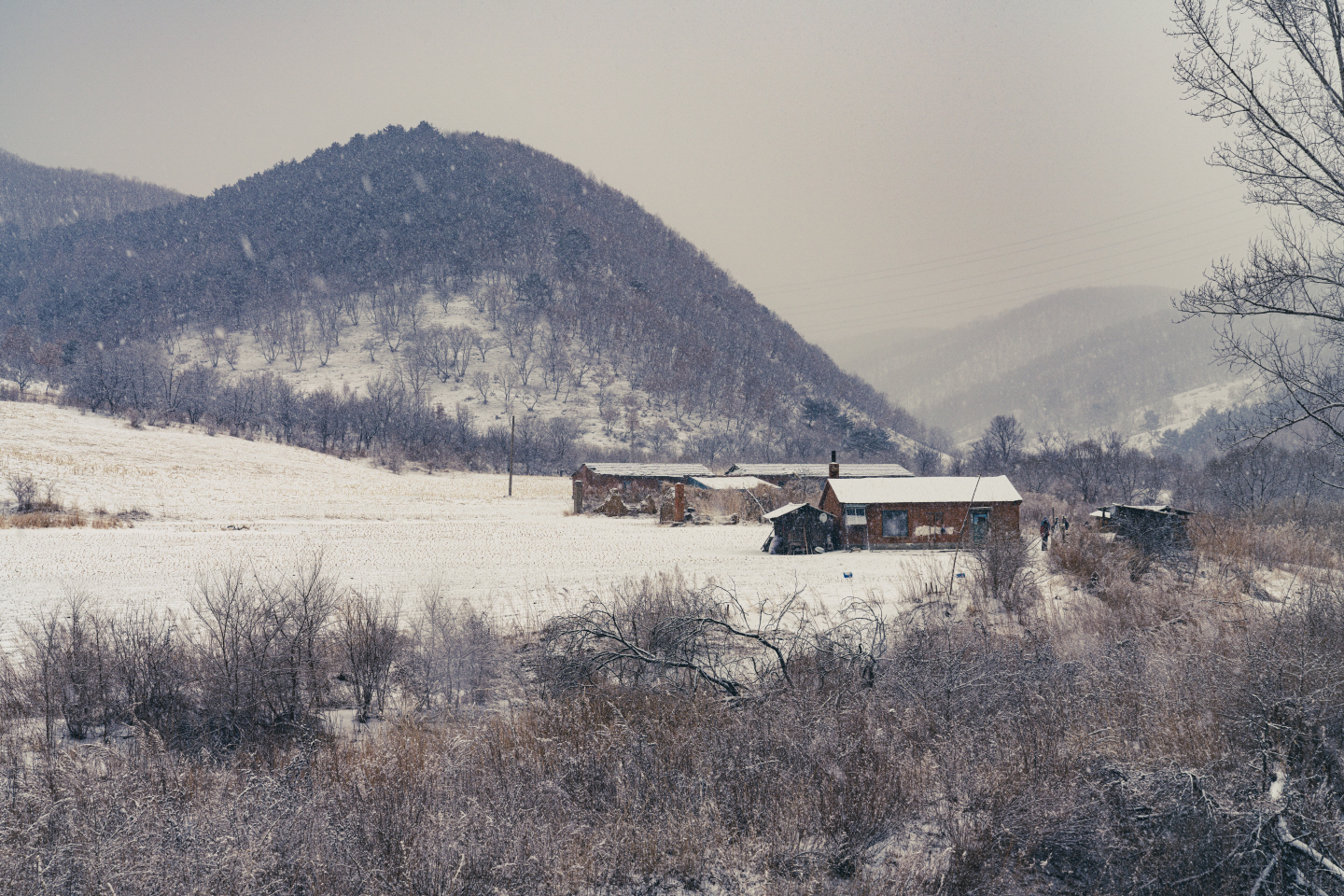 点击查看原图大小