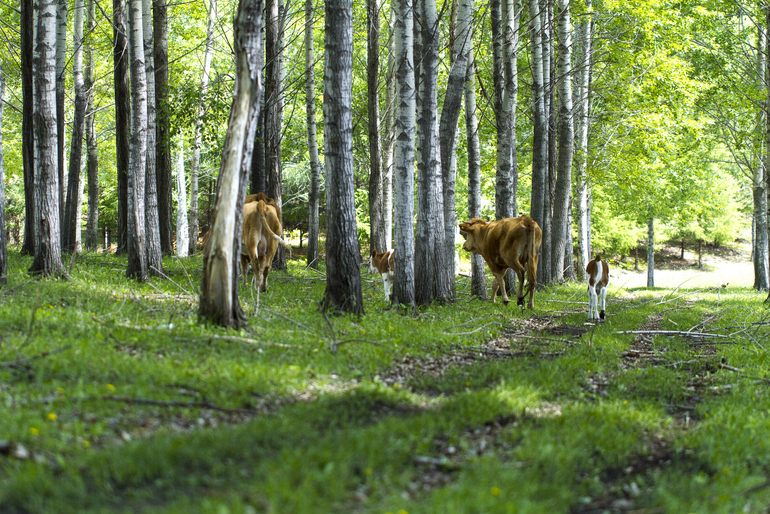 点击查看原图大小