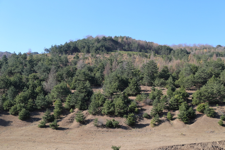 点击查看原图大小