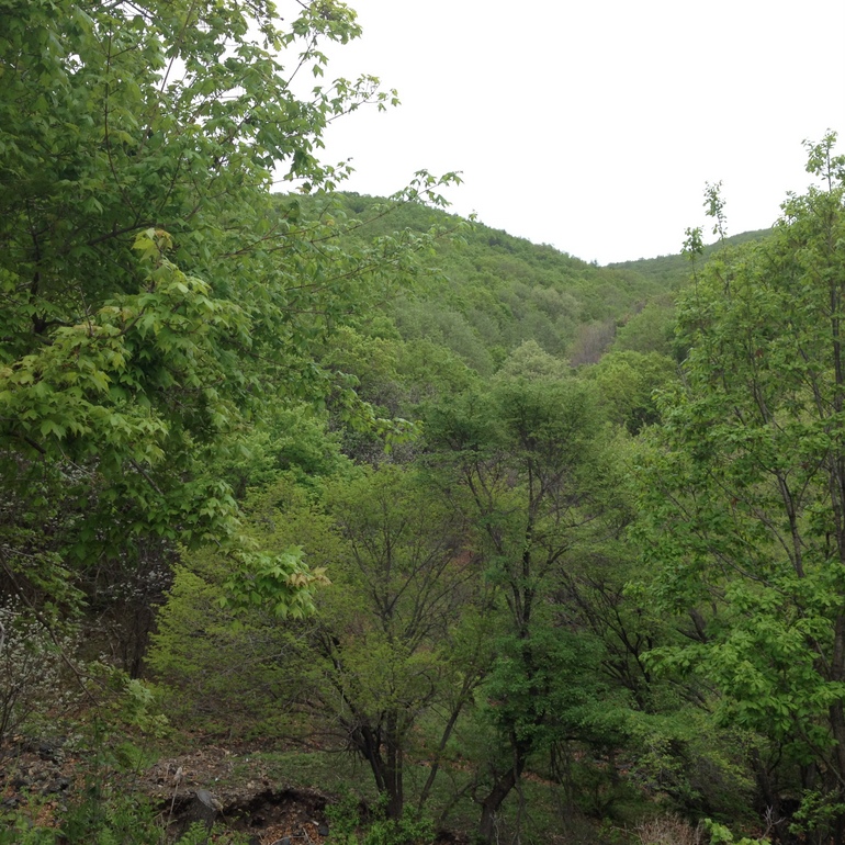 点击查看原图大小