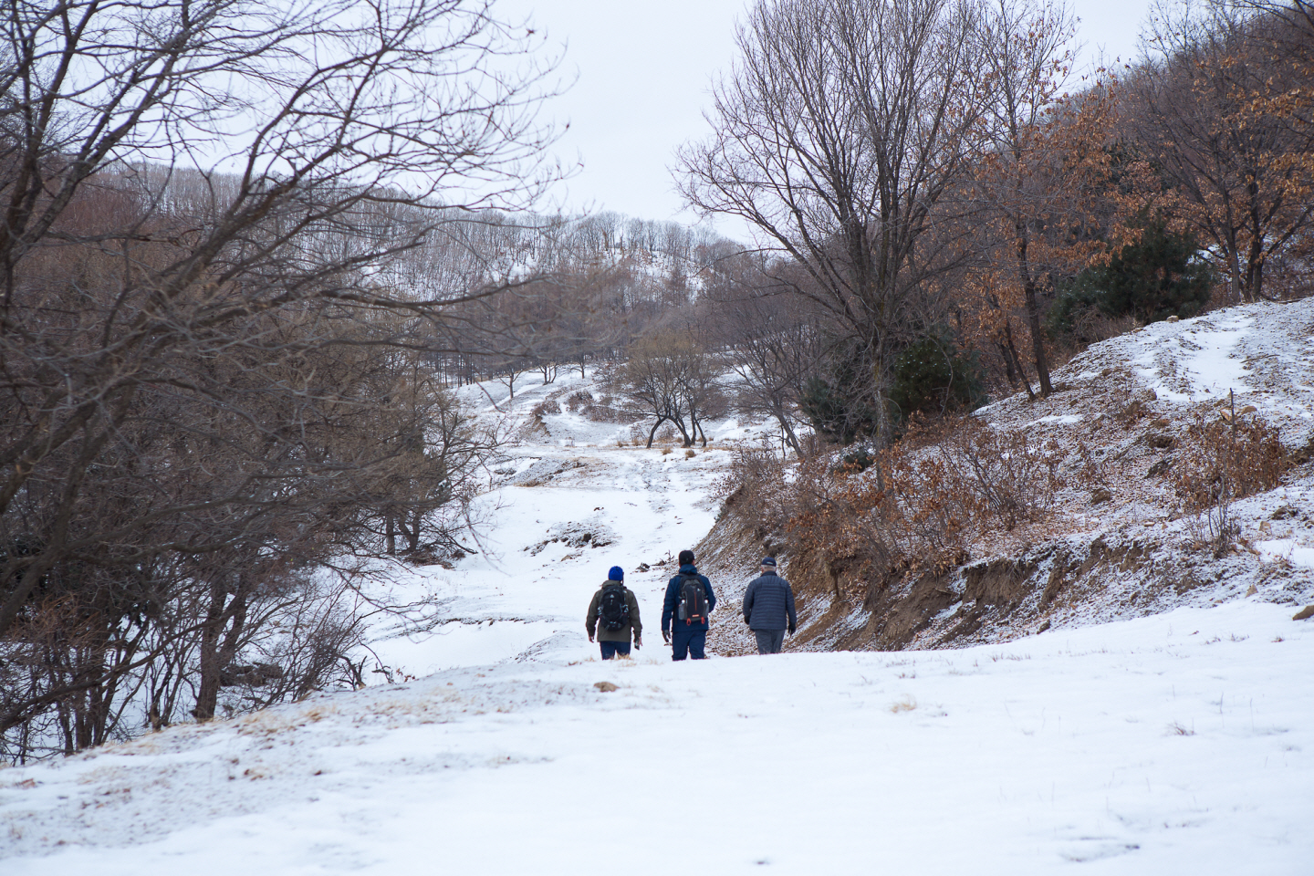 点击查看原图大小