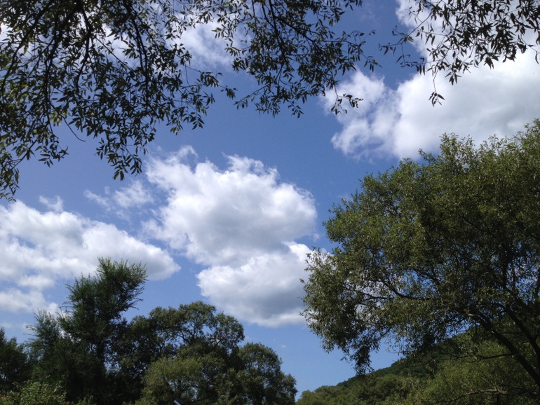 点击查看原图大小