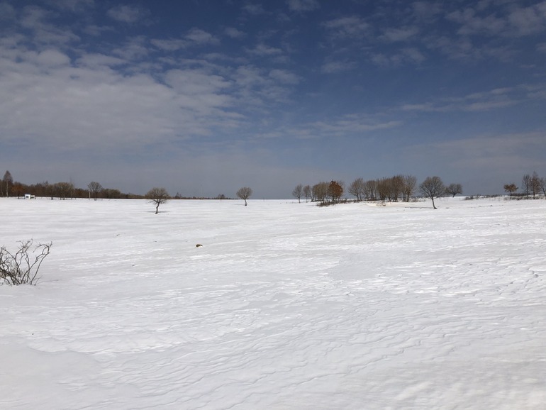 点击查看原图大小