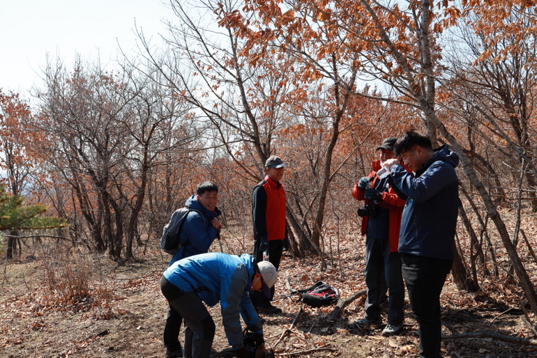 点击查看原图大小
