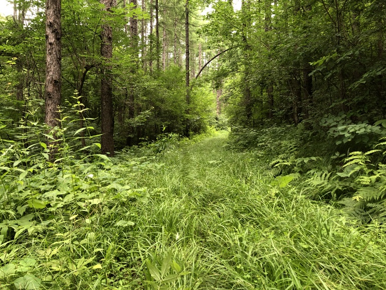 点击查看原图大小