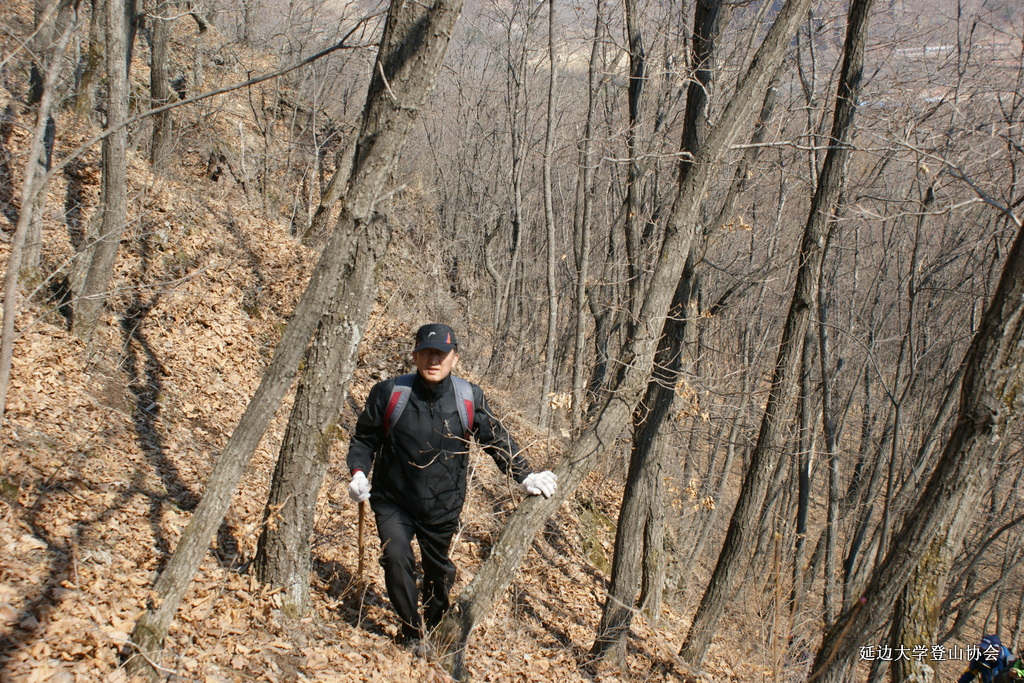 点击查看原图大小