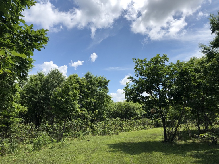 点击查看原图大小