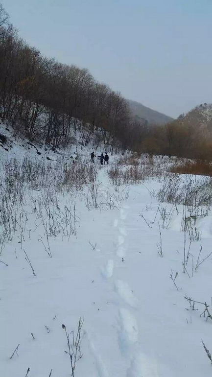 点击查看原图大小