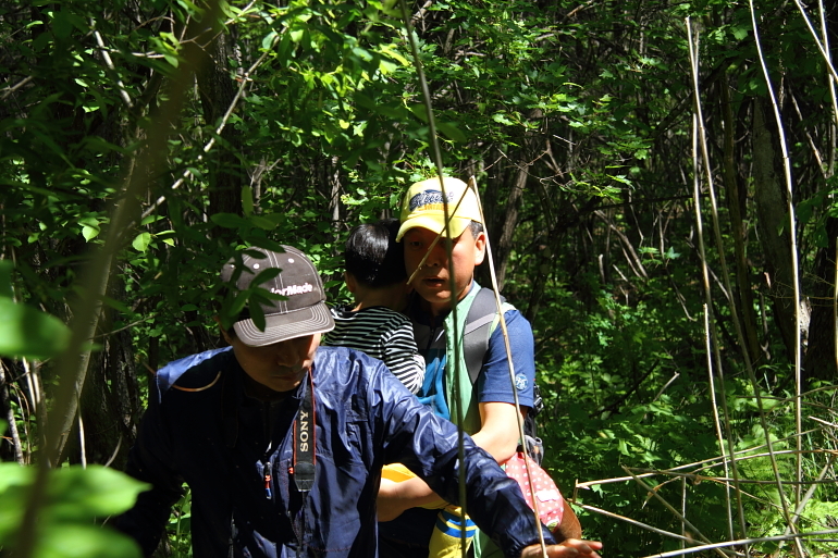 点击查看原图大小