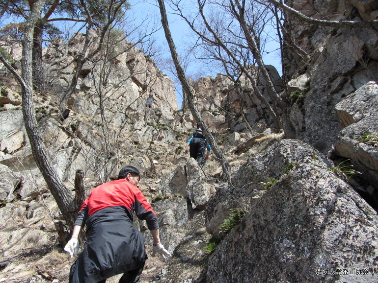 点击查看原图大小