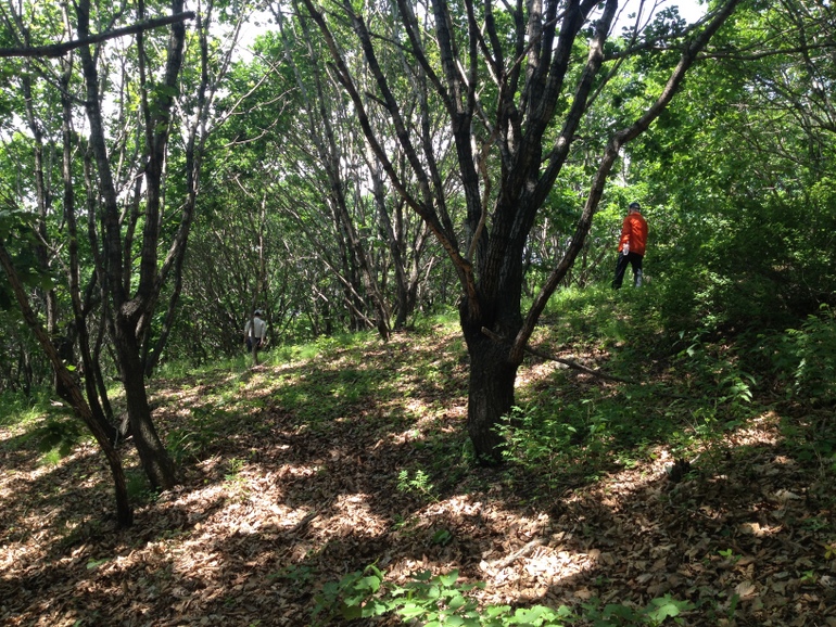 点击查看原图大小