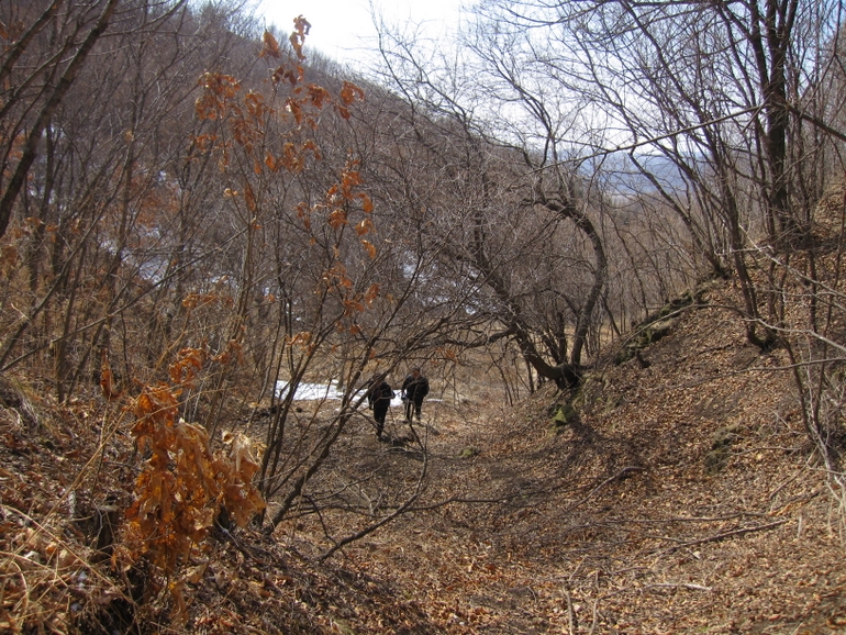 点击查看原图大小