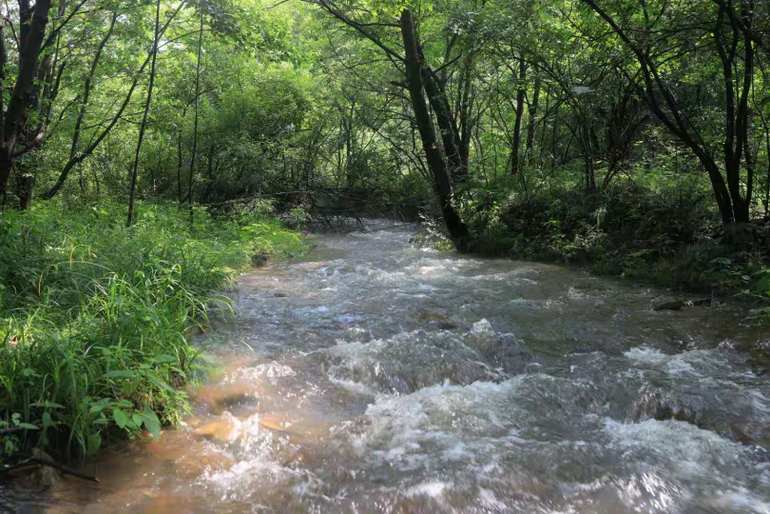 点击查看原图大小