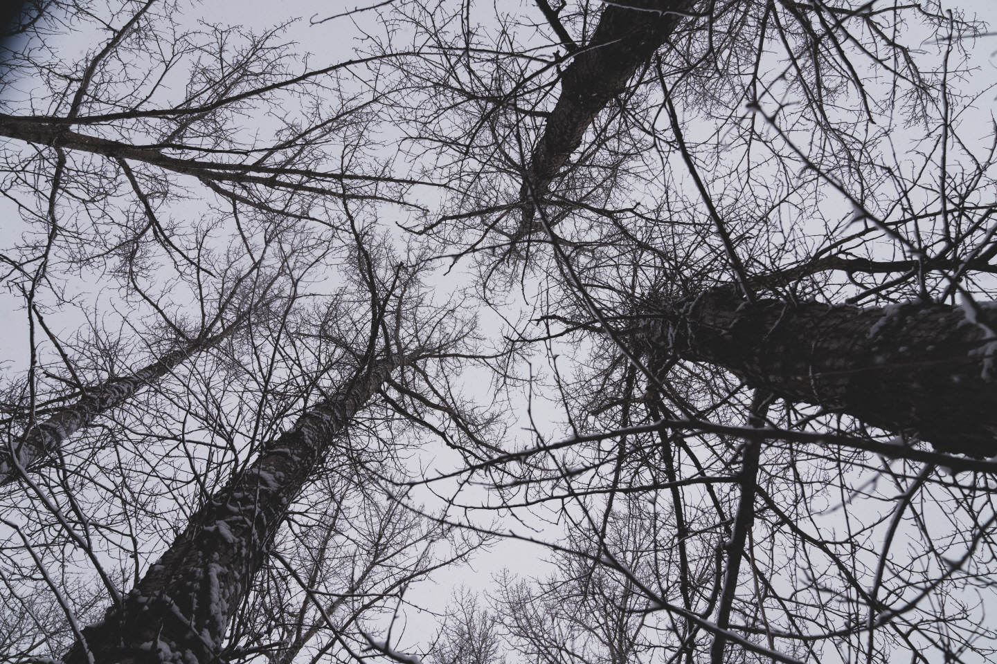 点击查看原图大小