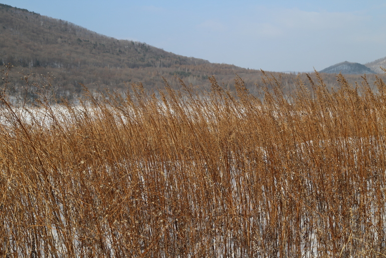 点击查看原图大小