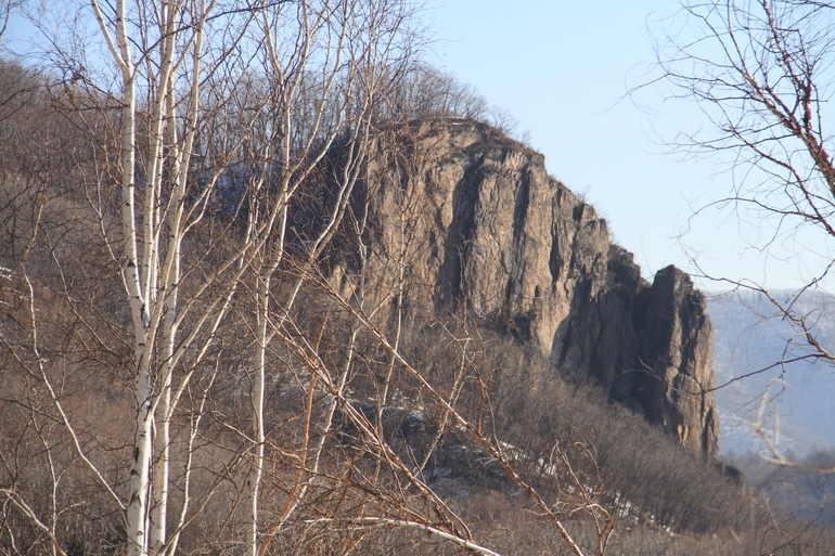点击查看原图大小