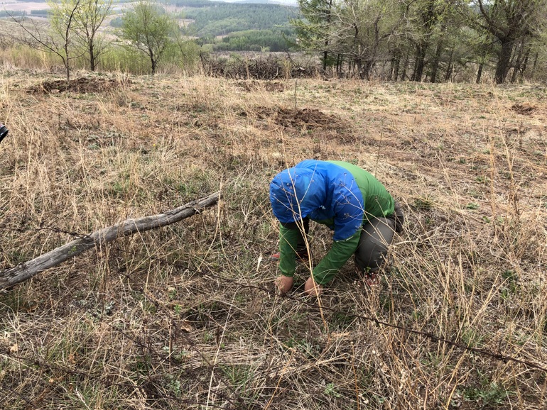 点击查看原图大小