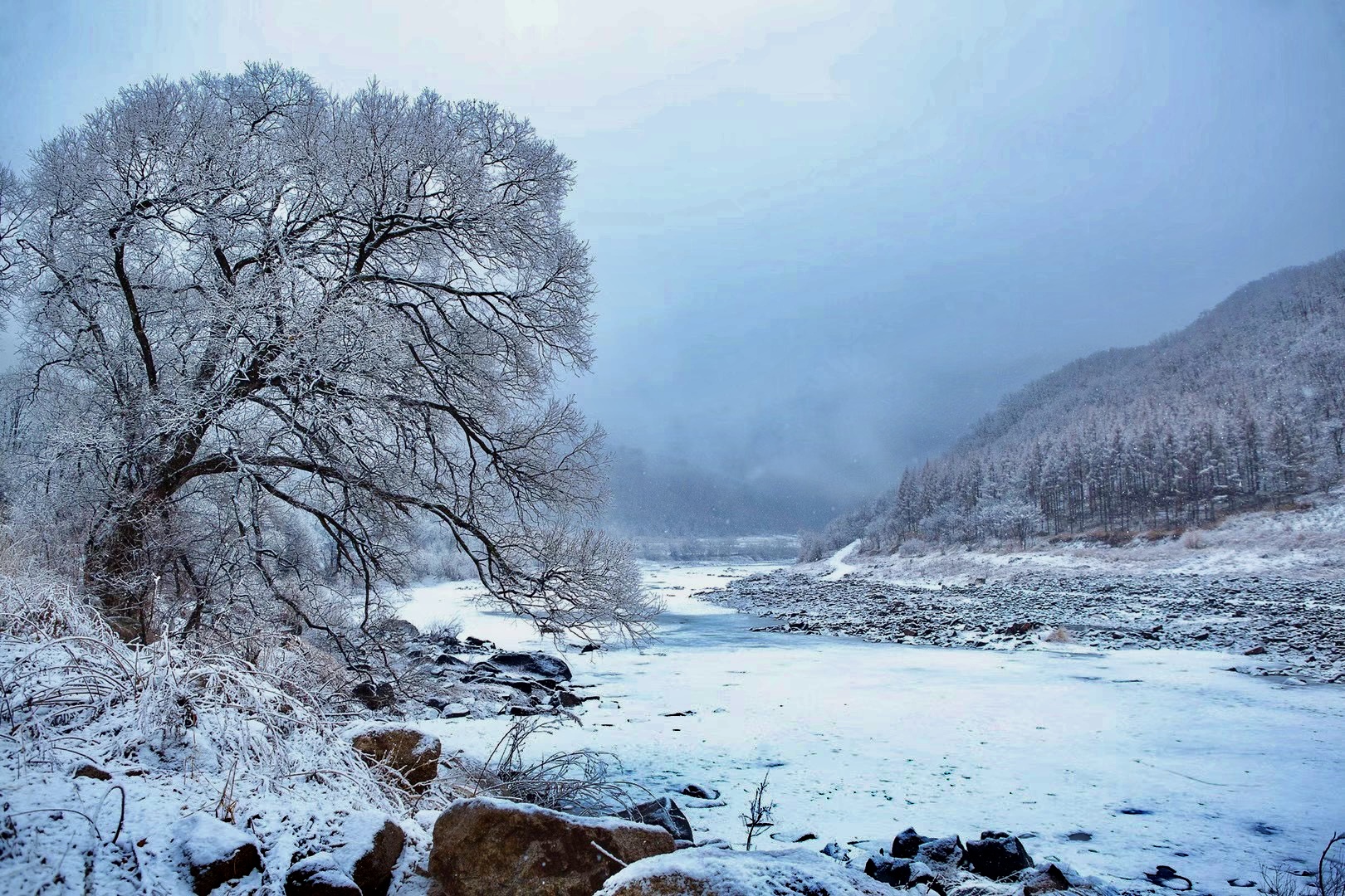 点击查看原图大小