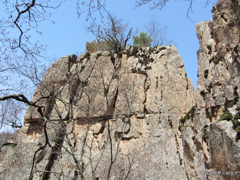 点击查看原图大小