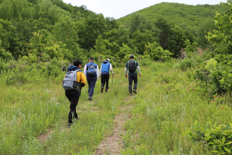 点击查看原图大小