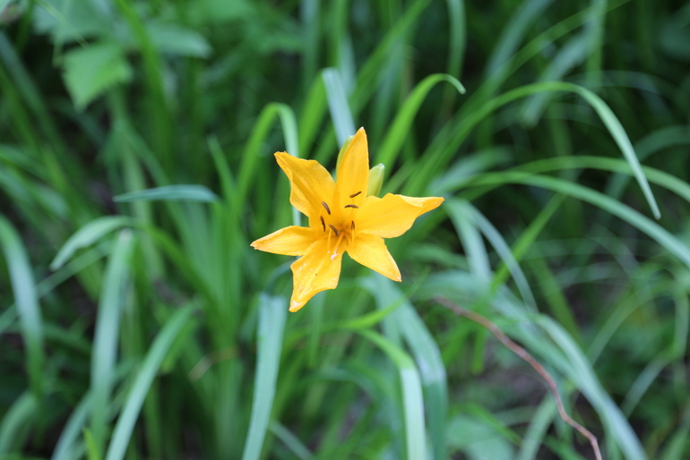 点击查看原图大小