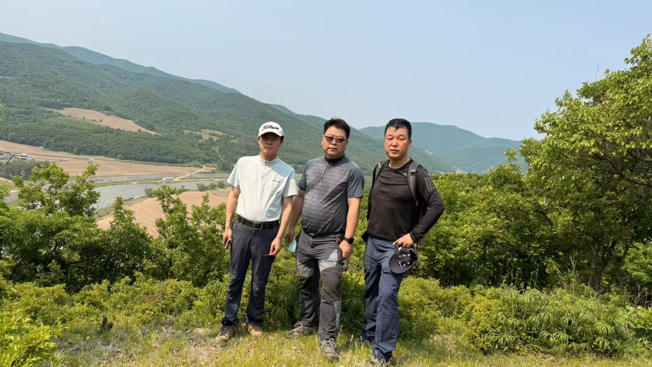 龙转山东