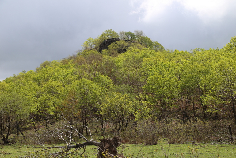 点击查看原图大小