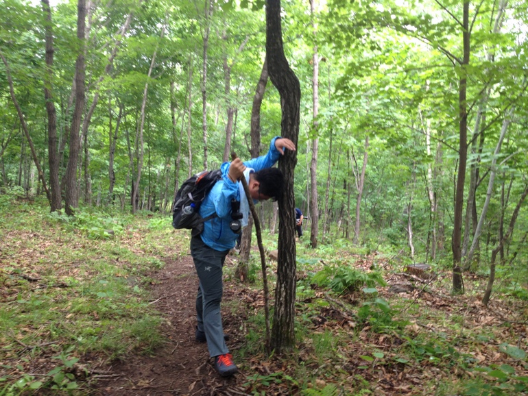 点击查看原图大小