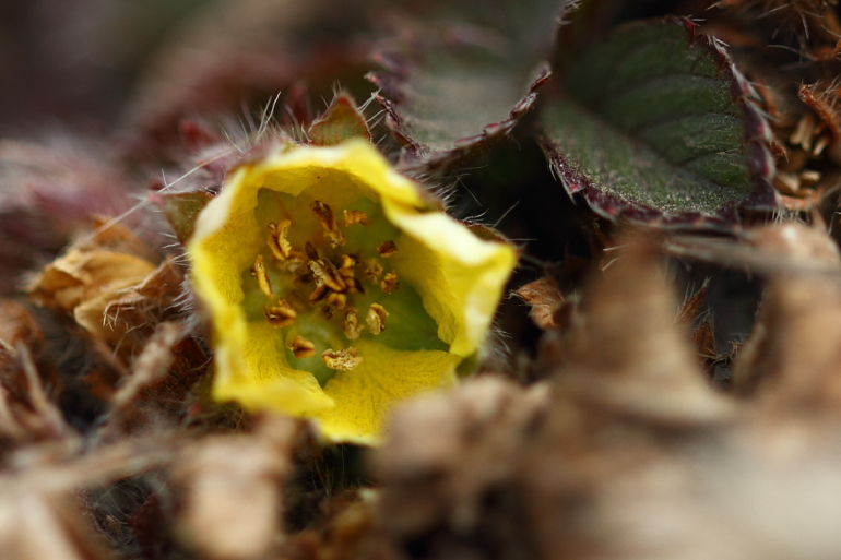 点击查看原图大小