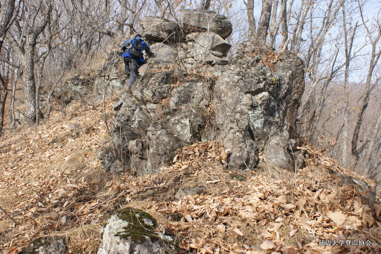 点击查看原图大小