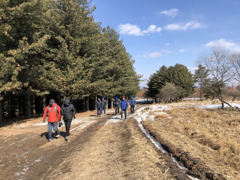 点击查看原图大小