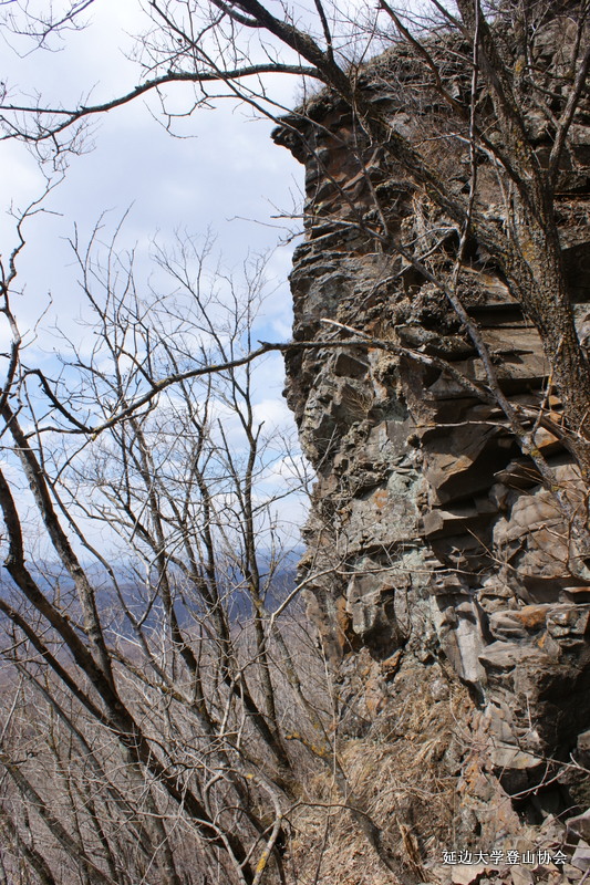 点击查看原图大小