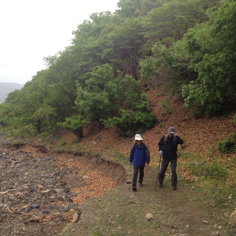 点击查看原图大小