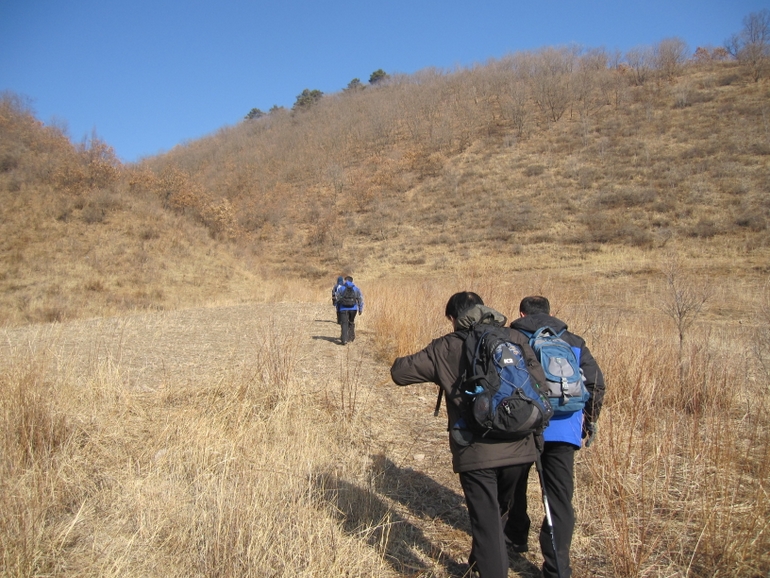 点击查看原图大小