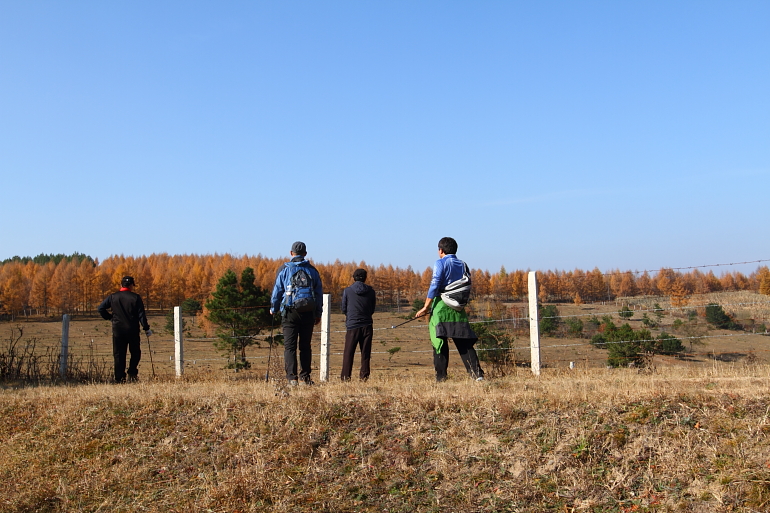 点击查看原图大小