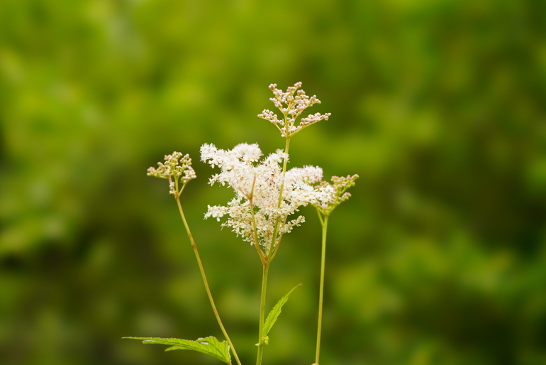 点击查看原图大小