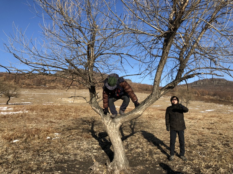 点击查看原图大小