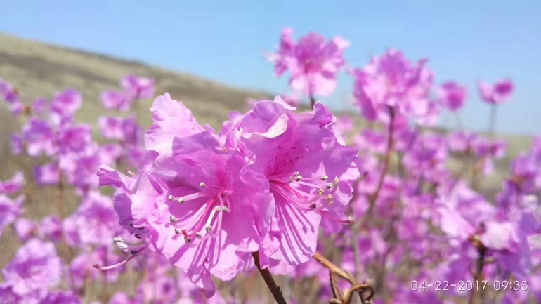 点击查看原图大小