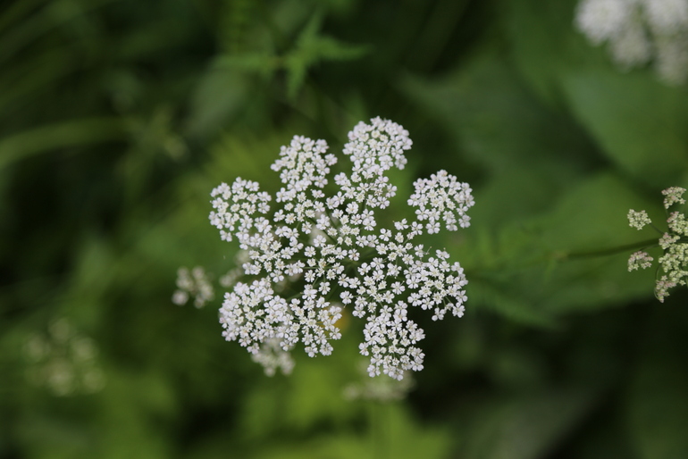点击查看原图大小