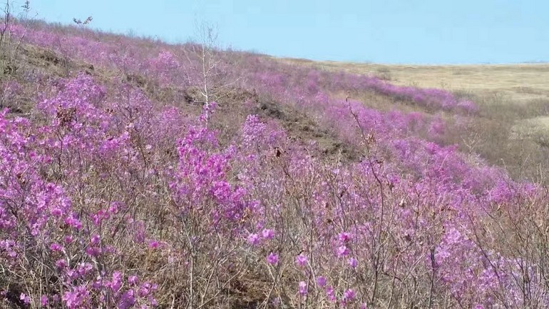 点击查看原图大小