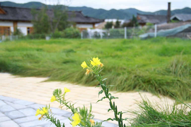 点击查看原图大小