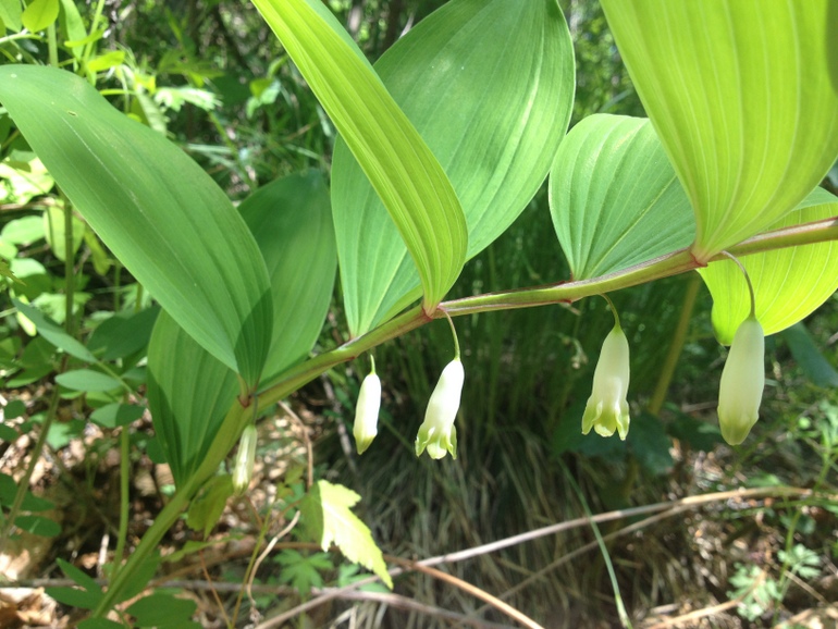 点击查看原图大小