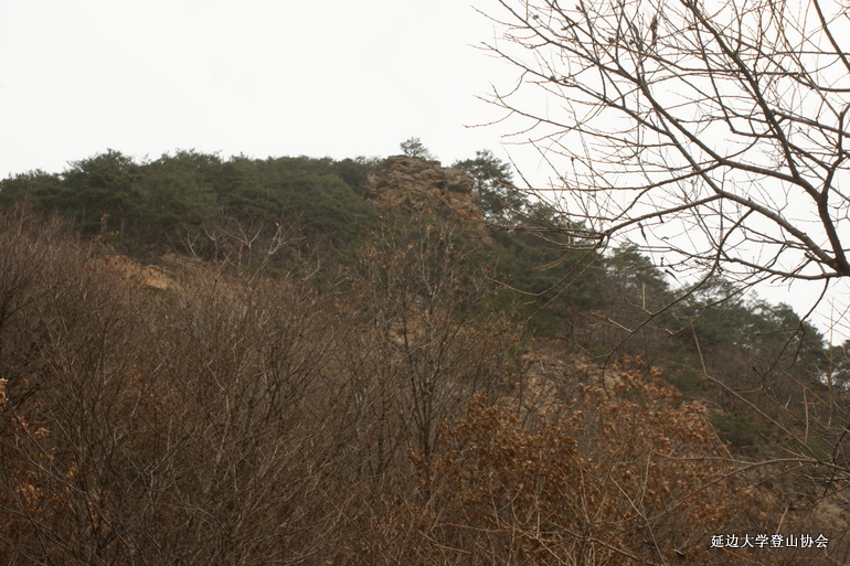 点击查看原图大小