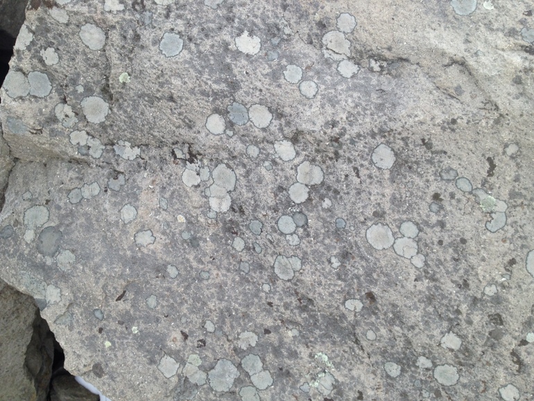 点击查看原图大小