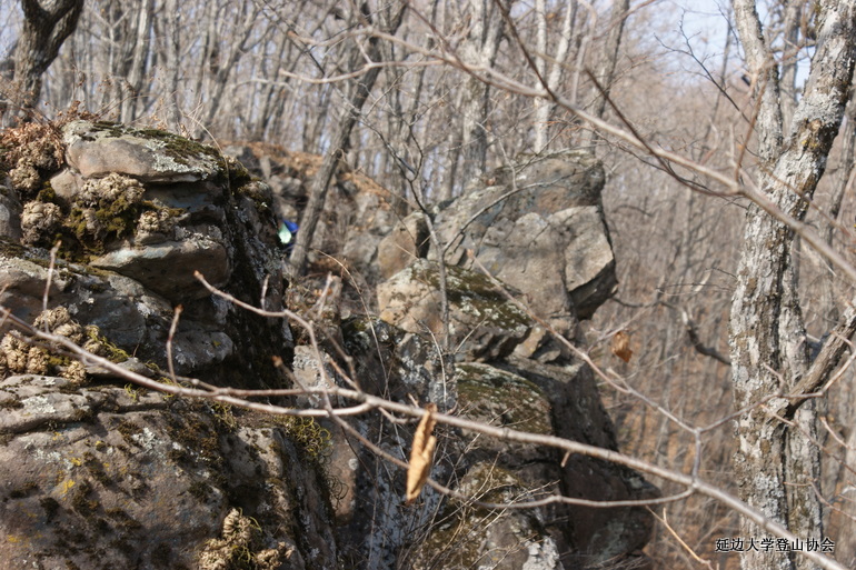 点击查看原图大小