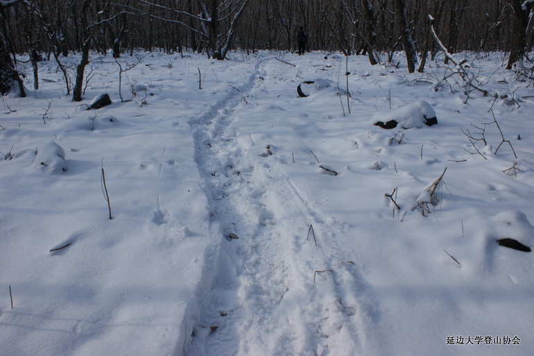 点击查看原图大小