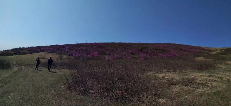 点击查看原图大小